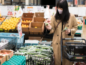 ペットサロンしみず本店 | 豊富な知識と経験を活かしたトリミング