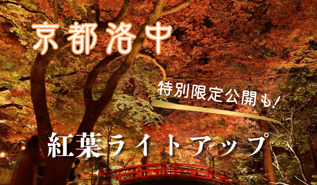 こっそり教えたい、京都の紅葉穴場スポット16選！｜JR東海ツアーズ 新幹線旅行の予約（EX旅パック）