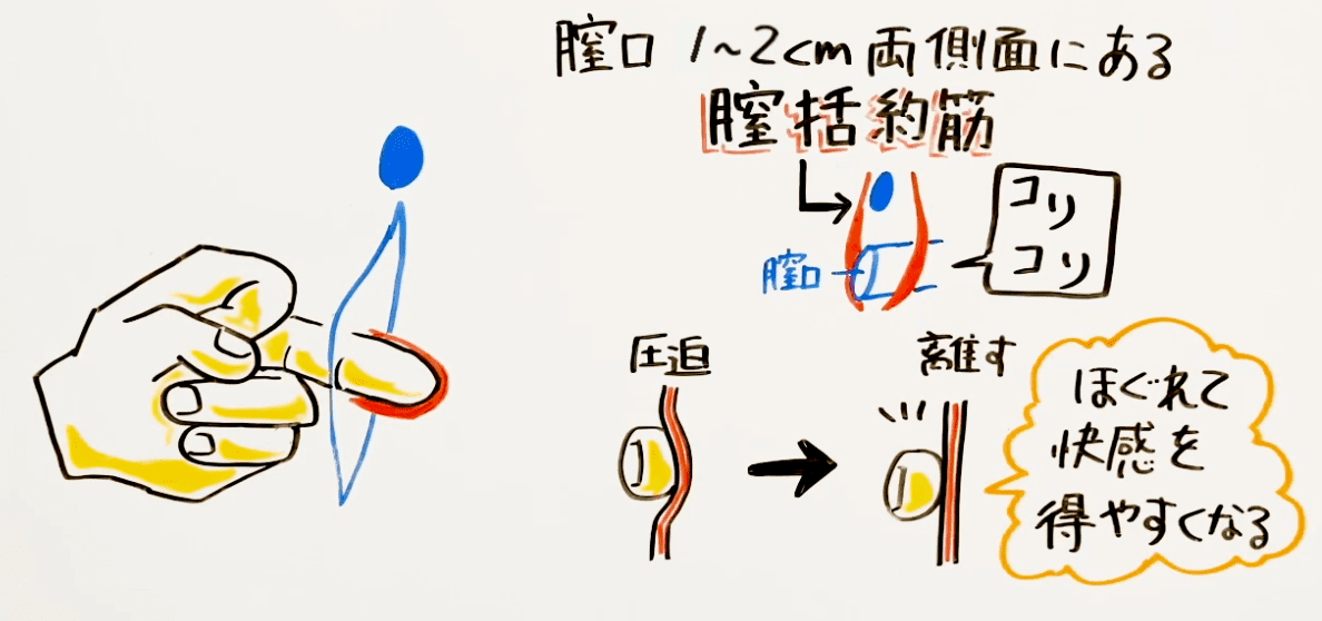 女性が気持ちいいと感じる上手な手マンのやり方やコツを徹底解説！｜駅ちか！風俗雑記帳