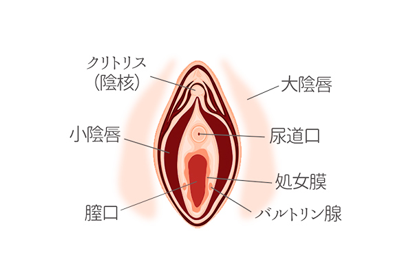 デリケートゾーン(陰部)の「黒ずみ」原因はなに？ケア＆予防方法を紹介｜wakanote