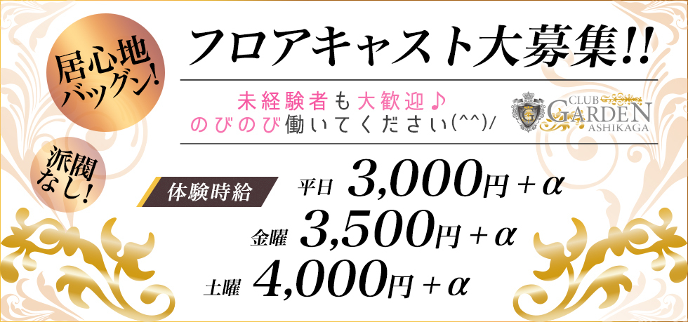 佐野/足利キャバクラ・ガールズバー・パブ/スナック求人【ポケパラ体入】