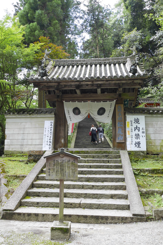 松尾寺のカサブランカ : 宵闇写真館・ブログ