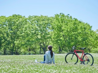 退職移行期にある高齢男性のヘルスプロモーションに関わる要因の検討