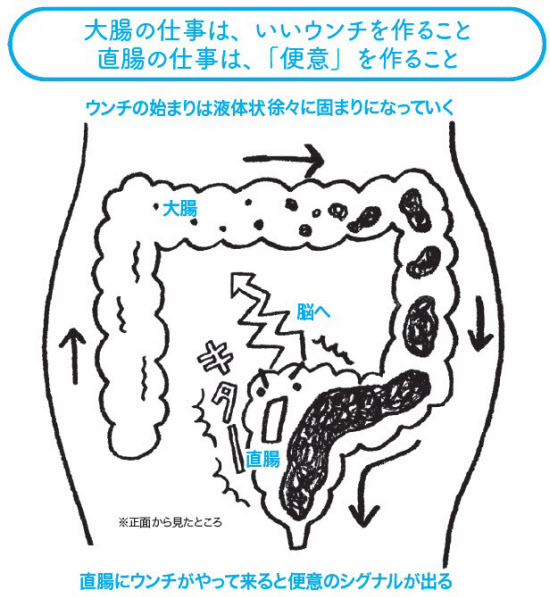 50%OFF】下剤を仕込んで便意我慢&着衣脱糞させてみたアニメーション(1) 艦○れ羽○編 [便意我慢研究会]