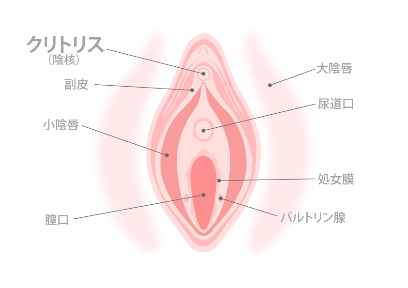 婦人科形成はヴィンテージビューティークリニック 横浜で！