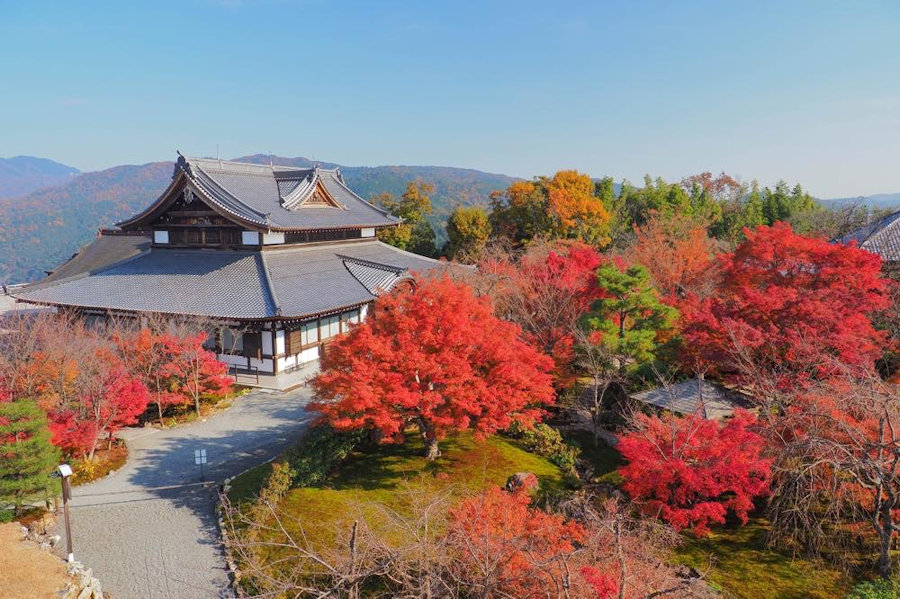 京都】穴場の紅葉名所｜趣深い秋の絶景｜THE THOUSAND KYOTO（ザ・サウザンド京都）宿泊・観光に最適な京都 駅徒歩2分のラグジュアリーホテル＜公式＞