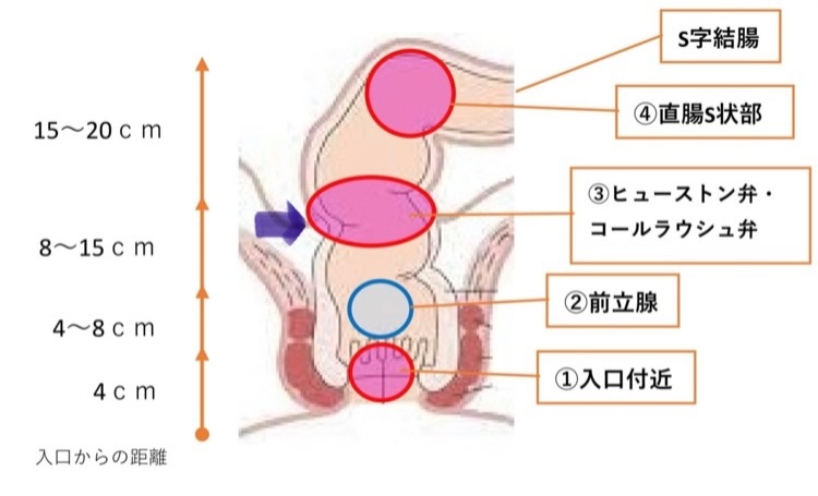 メスイキ特集 おんなのこにしてあげる】お尻を弄られ、感じて悶えて…「いれてほしい？」と熱いモノをあてられて…!! -