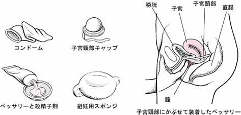 ftm出会い掲示板のおすすめ5選とftmの出会い方をプロが解説 - 週刊現実