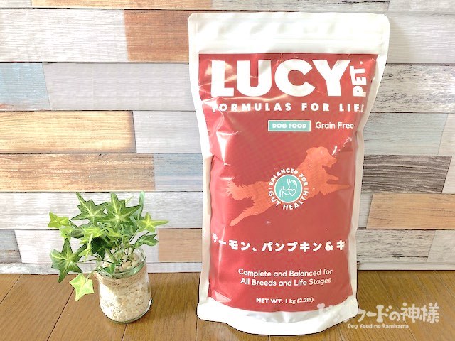 あなたは？賛否分かれる話題作】LUCY/ルーシーのストーリーと名シーンをネタバレ動画で完全解説！｜ミツカル！