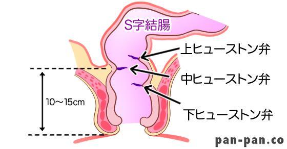 人妻アナル調教 S字結腸で鬼イキしまくり肛門不倫にハマるNTR妻8時間 - エロ動画・アダルトビデオ -