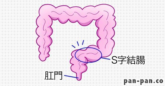 天晴乃愛】S字イキ・白目絶頂・腸内拡張 特大ディルドが何度もS字結腸貫通、剛毛巨乳美少女の極限拡張アナル AV至上初、S字イキしすぎて白目イキッ放しの超興奮と衝撃  |